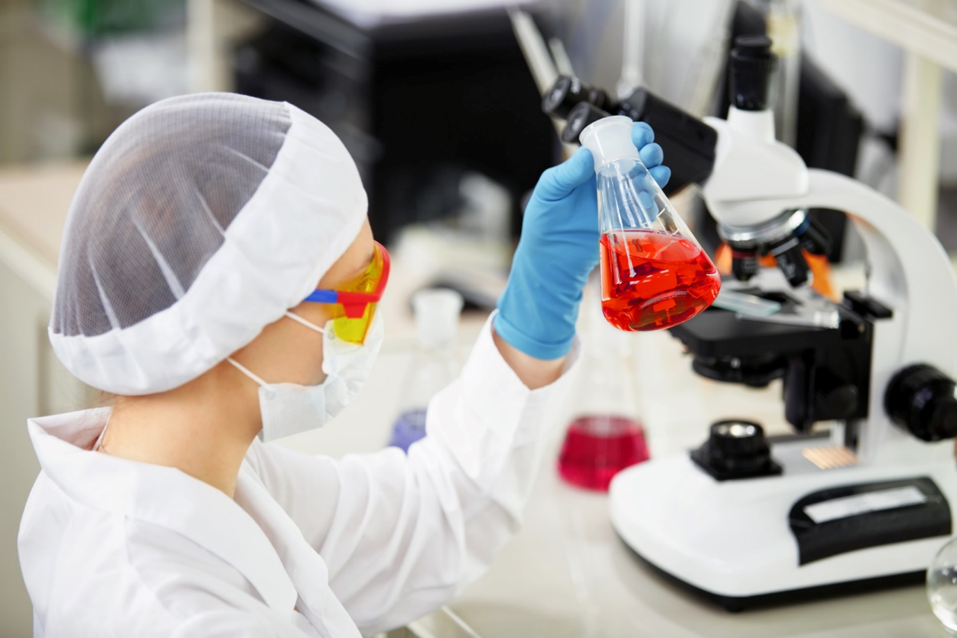 MSc Microbiology The Perfect Next Step After Your BSc