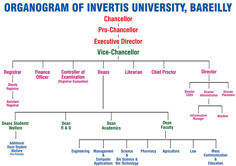 organogram