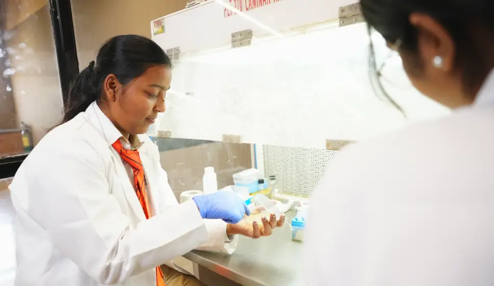 Top Career Options after B.Sc. Biotechnology: A Complete Guide for Aspiring Scientists