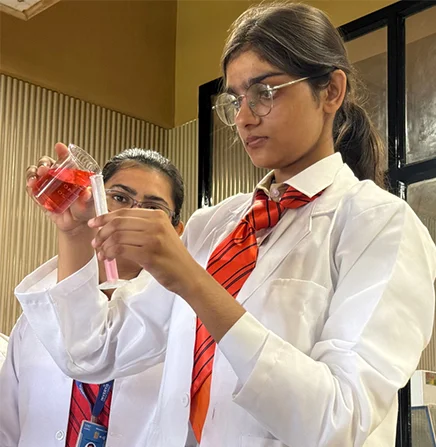lab