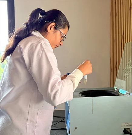 lab