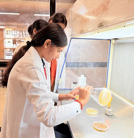 lab
